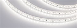 Лента RTW-5000PU-2835-120 24V Day4000 (10.5mm, 16.8W, IP68) (Arlight, Закрытый) 029514 - фото 100223