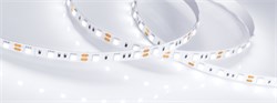Лента RT 2-5000 12V White5500 2x (5060, 300 LED, LUX) (Arlight, 14.4 Вт/м, IP20) 026778(B) - фото 100519