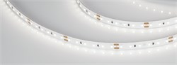 Лента MICROLED-M120-8mm 24V Day5000 (6.5 W/m, IP20, 2216, 5m) (Arlight, Открытый) 024436(2) - фото 101032