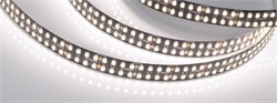 Лента RT-5000-2835-320 24V White6000 (BLACK 15mm, 24W/m, IP20) (Arlight, -) 032606 - фото 114824