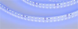 Лента RT-A120-8mm 24V Blue (9.6 W/m, IP20, 2835, 5m) (Arlight, 9.6 Вт/м, IP20) 008783(3) - фото 135682