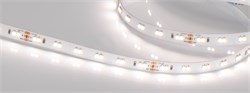 Лента RT 6-5000 24V White-MIX 2x (3528, 120 LED/m, LUX) (Arlight, 9.6 Вт/м, IP20) 025211 - фото 137042
