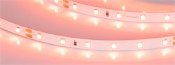 Лента RT-A60-8mm 24V Carrot (4.8 W/m, IP20, 5m) (Arlight, -) 055375 - фото 176256