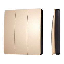 INTELLIGENT ARLIGHT Кнопочная панель KINETIC-801-22-3G-WP-SUF Gold (No battery, IP67, 433Mhz) (IARL, IP67 Пластик, 3 года) 051677-1 - фото 182676
