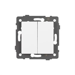 Механизм выключателя двухклавишный непроходной SWT-MK02-PL-WH-V (250V, 10A) (Arlight, -) 049887 - фото 182958