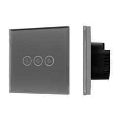 Выключатель сенсорный SWT-OMALI-S03-ZB-GR (250V, 10A, Zigbee) (Arlight, Стекло) 050047 - фото 182978