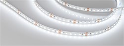 Светодиодная лента NT-A120-8mm 24V White6000 (9.6 W/m, IP20, 3528, 5m) (Arlight, Открытый) 033525 - фото 86713