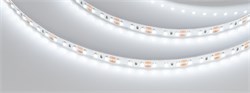 Светодиодная лента NT-A120-8mm 12V White6000 (9.6 W/m, IP20, 3528, 5m) (Arlight, Открытый) 035704 - фото 88534