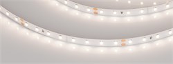 Светодиодная лента RT-A80-8mm 24V Day4000 (6 W/m, IP20, 2835, 50m) (Arlight, высок.эфф.150 лм/Вт) 024524(2) - фото 88679