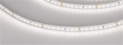 Светодиодная лента RT-A160-8mm 24V Day5000 (12 W/m, IP20, 2835, 5m) (Arlight, высок.эфф.150 лм/Вт) 024536(2) - фото 88718
