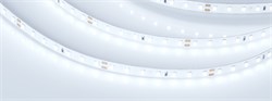 Лента RT-A98-8mm 24V Cool 8K (10 W/m, IP20, 2835, 5m) (Arlight, 10 Вт/м, IP20) 019912(2) - фото 90784