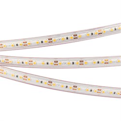 Лента RTW 2-5000PS 12V White6000 2x (3528, 600 LED, LUX) (Arlight, 9.6 Вт/м, IP67) 022318 - фото 91622