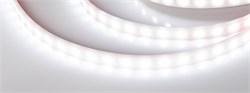 Лента RTW 2-5000PW 12V White6000 2x (5060, 300 LED, LUX) (Arlight, 14.4 Вт/м, IP66) 016169-1 - фото 92426