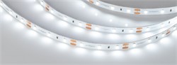 Лента NT-A60-8mm 12V White6000 (4.8 W/m, IP20, 3528, 5m) (Arlight, Открытый) 035698 - фото 93219