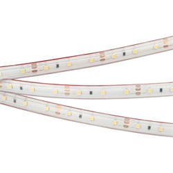 Лента RTW 2-5000PS 12V Warm3000 (3528, 300 LED, LUX) (Arlight, 4.8 Вт/м, IP67) 021101 - фото 97170