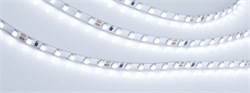 Лента RT 2-5000 24V Cool 8K 5mm 2x (3528, 600 LED, LUX) (Arlight, 9.6 Вт/м, IP20) 015650(B) - фото 97181