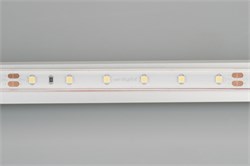 Лента RTW 2-5000PS-50m 24V Day4000 (3528, 60 LED/m, LUX) (Arlight, 4.8 Вт/м, IP67) 024564 - фото 99136
