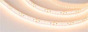 Лента RT-A180-8mm 24V Warm2700 (14.4W/m, IP20, 3528, 5m) (Arlight, 14.4 Вт/м, IP20) 017419(1)