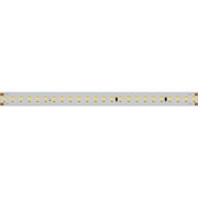 Лента IC 2-50000 48V White6000 12mm (2835, 144 LED/m, LUX) (Arlight, 5.8 Вт/м, IP20) 026981
