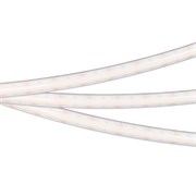 Лента герметичная RTW-PSW-A308-12mm 24V Warm2700 (14 W/m, IP67, 2835, 5m) (Arlight, 5 лет) 045296