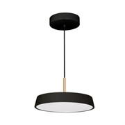 Светильник SP-ELEGANT-R300-17W Day4000 (BK, 120 deg, 230V) (Arlight, IP20 Металл, 3 года) 033920(1)