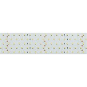 Лента RT 2-2500 24V Day4000 5x2 (2835, 875 LED, CRI98) (Arlight, 36 Вт/м, IP20) 025163
