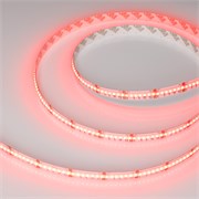 Лента CSP-X840-12mm 24V RGBW-Day (17.2 W/m, IP20, 5m)  (Arlight, 5 лет) 046936