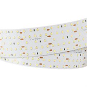 Лента S2-2500 24V White 6000K 52mm (2835, 420 LED/m, LUX) (Arlight, 30 Вт/м, IP20) 023404