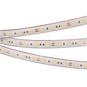 Лента RTW 2-5000PS 12V White6000 2x (5060, 300 LED, LUX) (Arlight, 14.4 Вт/м, IP67) 022323