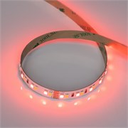 Лента RT-A168-10mm 24V RGBW-Warm (20 W/m, IP20, 5m) (Arlight, высок.эфф.150 лм/Вт) 056879