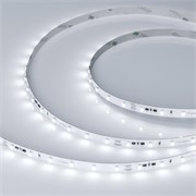 Лента RT-10000 24V White6000 (3528, 60 LED/m, 10m) (Arlight, 4.8 Вт/м, IP20) 024987