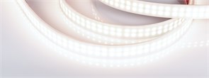 Лента RTW 2-5000PW 24V White6000 2x2 (3528, 1200 LED, LUX) (Arlight, 19.2 Вт/м, IP66) 018998-1