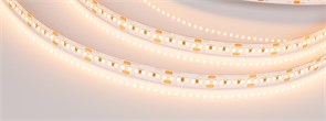 Лента MICROLED-5000 24V Warm3000 8mm (2216, 300 LED/m, LUX) (Arlight, 8 Вт/м, IP20) 023559