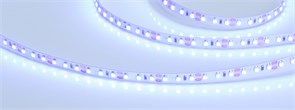 Лента RT 2-5000 12V Blue 2x (3528, 600 LED, LUX) (Arlight, 9.6 Вт/м, IP20) 012330(1)