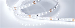 Лента RT 2-5000 24V Cool 8K 2x (2835, 600 LED, PRO) (Arlight, 14.4 Вт/м, IP20) 016888(1)