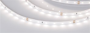 Лента RT 2-5000 24V Day4000 (2835, 300 LED, PRO) (Arlight, 7.2 Вт/м, IP20) 020012(B)
