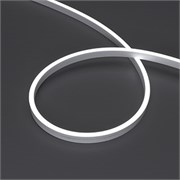 Светодиодная лента герметичная MOONLIGHT-SIDE-A120-06x12mm 24V White6000 (9.6 W/m, IP65, 5m, wire x2) (Arlight, Вывод кабеля прямой) 041033