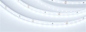 Лента RT 2-5000 24V Cool 8K 1.6x (2835, 490 LED, PRO) (Arlight, 10 Вт/м, IP20) 019912(1)