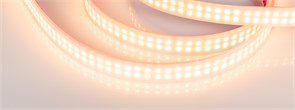 Лента RTW 2-5000PW 24V Warm2700 2x2 (3528, 1200 LED, LUX) (Arlight, 19.2 Вт/м, IP66) 018999