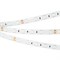 Лента RTW 2-5000SE 24V Yellow 2x (5060, 300 LED, LUX) (Arlight, 14.4 Вт/м, IP65) 017493-1 - фото 100030