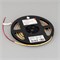 Светодиодная лента COB-X480-6mm 24V Day4000 (6 W/m, IP20, CSP, 5m) (Arlight, -) 042035 - фото 100317