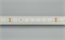 Лента RT 2-5000-50m 24V White5500 (2835, 80 LED/m, LUX) (Arlight, 6 Вт/м, IP20) 024522 - фото 100330