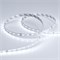 Лента RT 2-5000-50m 24V White5500 (2835, 80 LED/m, LUX) (Arlight, 6 Вт/м, IP20) 024522 - фото 100332