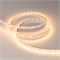 Лента RT-A120-8mm 12V Warm2400 (9.6 W/m, IP20, 2835, 5m) (Arlight, 9.6 Вт/м, IP20) 018091(2) - фото 100496