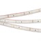 Лента RTW 2-5000PS 12V White6000 (3528, 300 LED, LUX) (Arlight, 4.8 Вт/м, IP67) 021099 - фото 100605