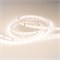 Лента IC 2-30000 24V Warm3000 10mm (2835, 60 LED/m, LUX) (Arlight, 4.6 Вт/м, IP20) 027033 - фото 100654