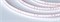 Лента RTW 2-5000PS-50m 24V White6000 2x (3528, 120 LED/m, LUX) (Arlight, 9.6 Вт/м, IP67) 024574 - фото 100694