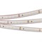 Лента RTW 2-5000PS-50m 24V White6000 2x (3528, 120 LED/m, LUX) (Arlight, 9.6 Вт/м, IP67) 024574 - фото 100695