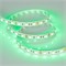 Лента RT 2-5000 12V Green 2x (5060, 300 LED, LUX) (Arlight, 14.4 Вт/м, IP20) 012337-1 - фото 100897