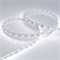 Лента RT 2-5000 24V White6000 (3528, 300 LED, LUX) (Arlight, 4.8 Вт/м, IP20) 011504(B) - фото 101087